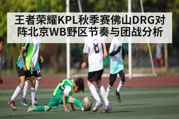 王者荣耀KPL秋季赛佛山DRG对阵北京WB野区节奏与团战分析